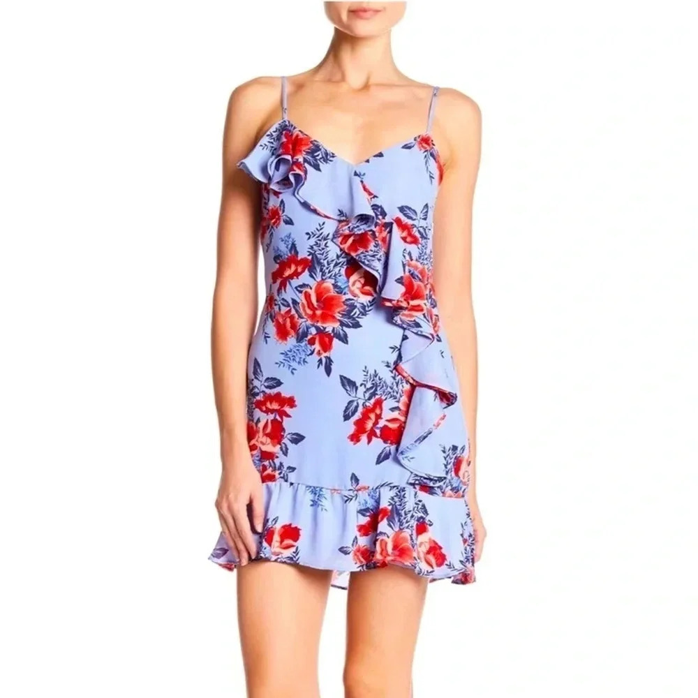 Parker Ruffle Front Sleeveless Floral Dress Red S